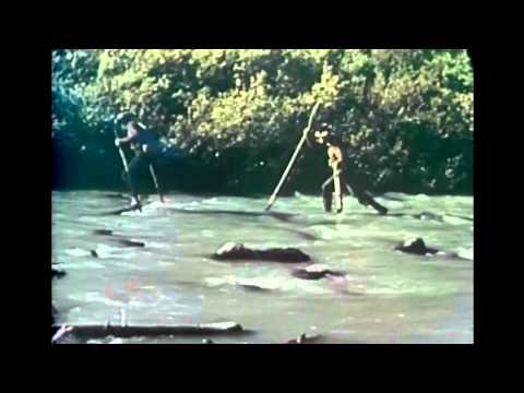 Fred Bear Yukon Adventure!  Grizzly Bear and Mountain Goat