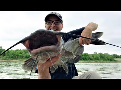 SHE ALMOST TOOK IT! Fighting Giant Catfish from the Bank