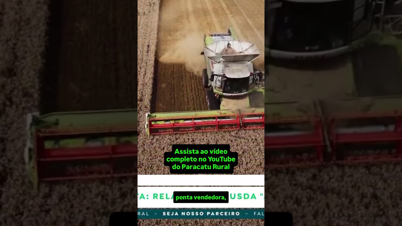Milho no Relatório do USDA e a projeção de alta