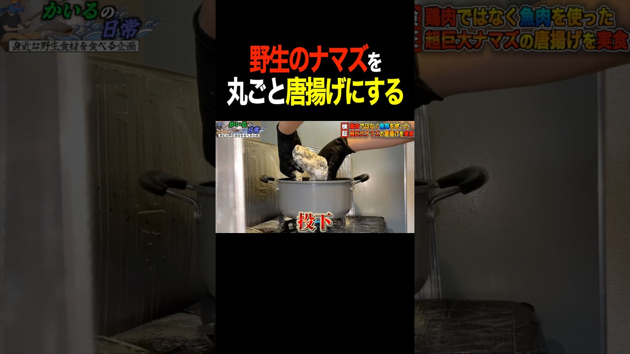 【絶品】ナマズを捕まえて唐揚げにして食べてみた #shorts