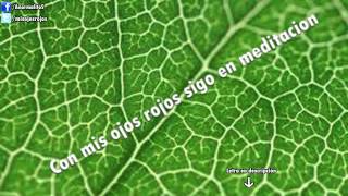 Babaman - Canto Nyabinghi ♫