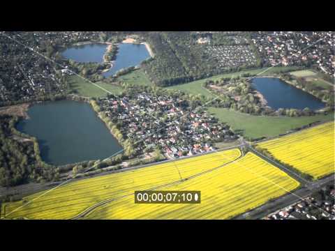 Gelb blühende Rapsfeld- Landschafts- Oase  in Berlin