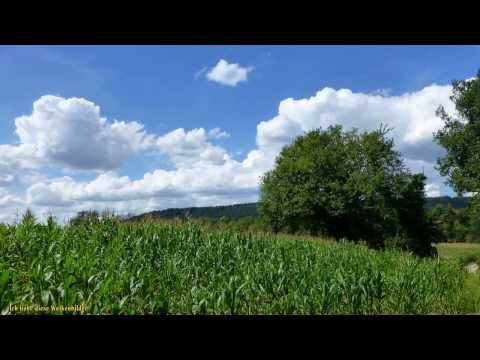 Rheinsteig 2013_Von der Horchheimer Höhe nach Braubach