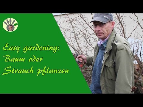 Baum und Strauch pflanzen im Herbst - Winter - Frühling - mit Heinrich Beltz
