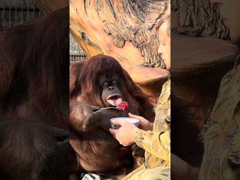 8 марта 2026 г.