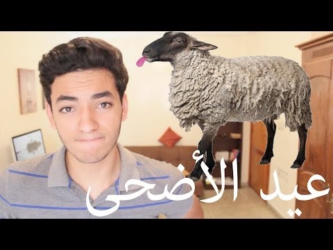 Souhail Echaddini - EP#9 : عيد الاضحى
