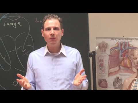 Heilpraktikerunterricht mit HP Paul Blumenthal an der Winkels Akademie Berlin