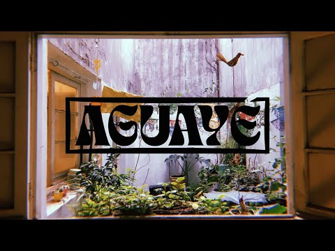 A pura ushuta - Aguayé / Sesiones caseras (1/4)