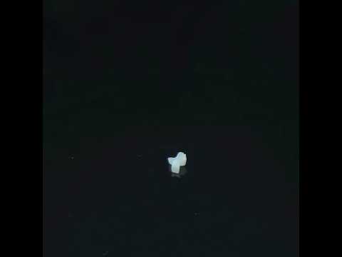 YouTube 썸네일