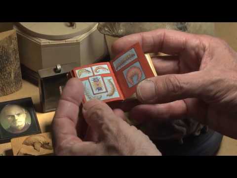 David Beck's "Book of Insects"
