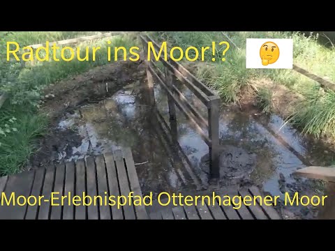 Radtour ins Moor ?! Moor Erlebnispfad Resse im Otternhagerner Moor / bei Hannover