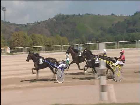 Trotto 09/09/2018 - 1ª corsa