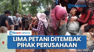 Konflik Agraria Memanas: 5 Petani Bengkulu Tertembak saat Tolak Alat Berat Perusahaan Sawit
