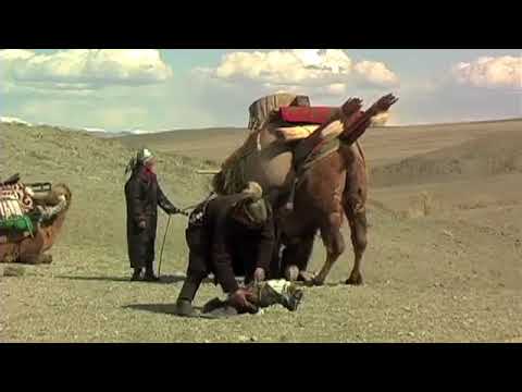 Migration of Kazakh nomads in Western Mongolia