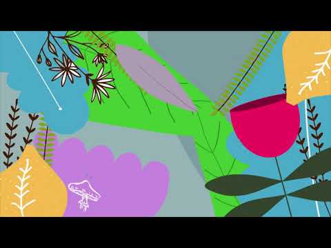 Vídeo: Iniciación aos hortos urbanos ecolóxicos