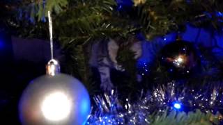 Brain wrecking the Christmas tree