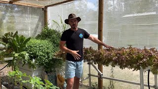Hydroponic Systems Update & Thank-you