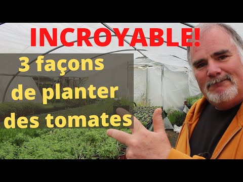 , title : '3 méthodes rapides et faciles pour planter les tomates'