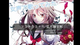 【女声で歌ってみた】マヨナカヨナカ/弦月藤士郎　　Buchy  cover