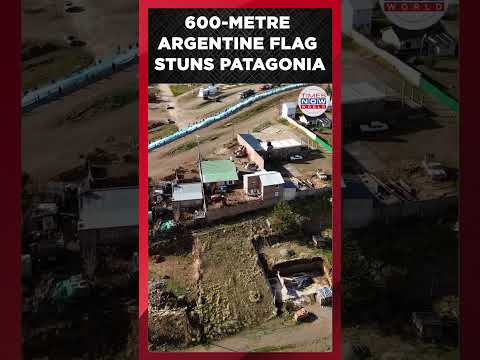 WATCH: Giant 600-Metre Argentina Flag Rolls Through Patagonia Streets | Times Now World