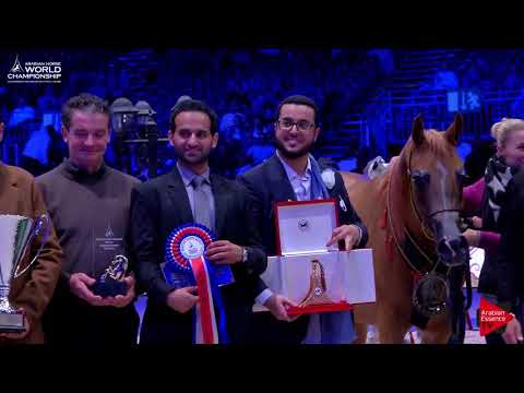 3 rd Place   N.50 DELIGHT'S DIVAH RB - Paris 2017 - Senior Mares Championship (Class CM9)