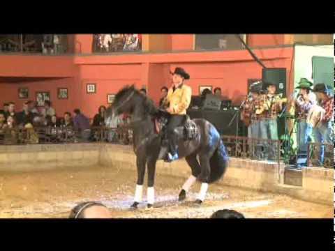 GABRIEL ARRIAGA EN VIVO DOS TRAICIONES