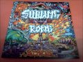 Sublime with Rome Day 2 Day 