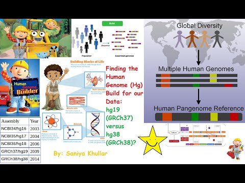 Determining the Human Genome (Hg) Build of a Dataset: Hg18 (GRCh37) versus Hg38 (GRCh38)