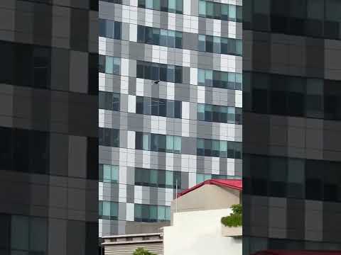 IUCN分類における絶滅の危険性を示す図。