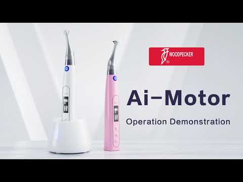 Woodpecker Endo Motor, Model Ai, Brushless Endo Motor, GoldenDent