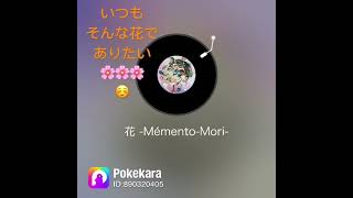 Mr.Children／花 -Memento-Mori-