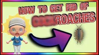 Beginners Guide To Animal Crossing New Horizons - How To Get Rid Of Cockroaches From Your Hose ACNH