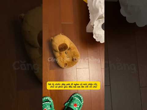 Dép đi thối rồi mà ôm như gấu bông vậy đó #giaitri #haihuoc #funny #viralvideo