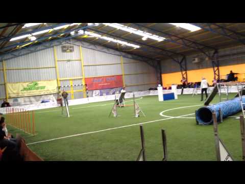 VISSZHANG AGILITY - EO VÁLOGATÓ - KOVÁCS ÁGI - LOLKA