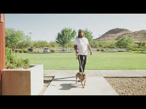 Bluejeans - Ain’t my dawg (OFFICIAL MUSIC VIDEO)