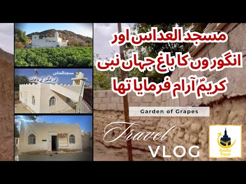 Farm Of Grapes where Rasool Pak Rest in Taif - Masjid Al Addas @Saudiatravel7865 #gardenofgrape