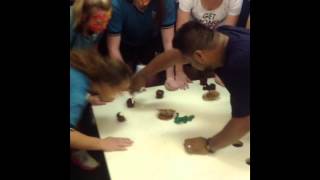 Wellington Point State High school