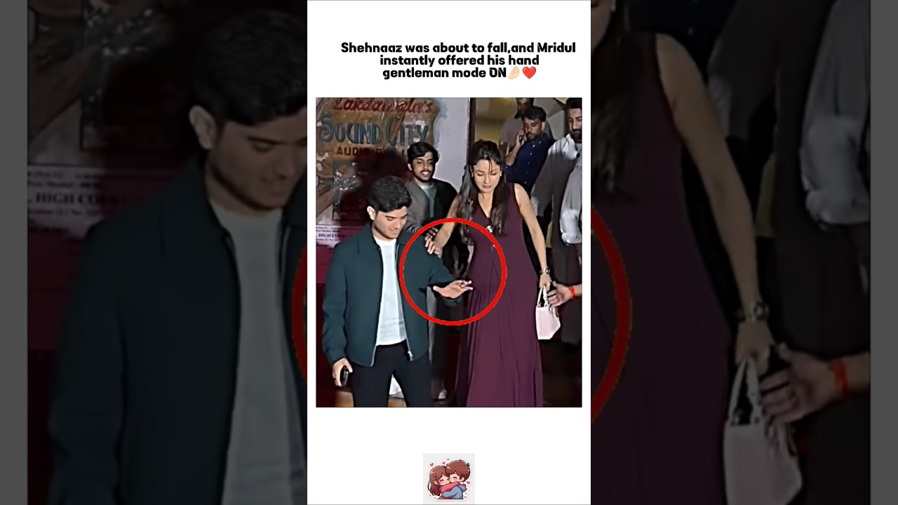 Mridul like hero❤️#mridul #shehnaazgill