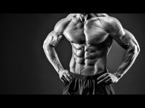 Does training abs give you ninja turtle physique?