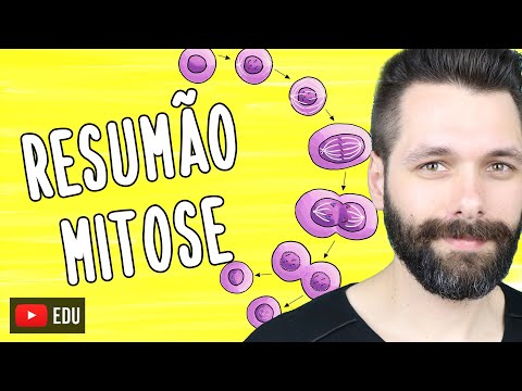 RESUMO sobre MITOSE | Biologia com Samuel Cunha