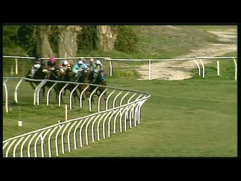 Galoppo 04/02/2020 - 4ª corsa