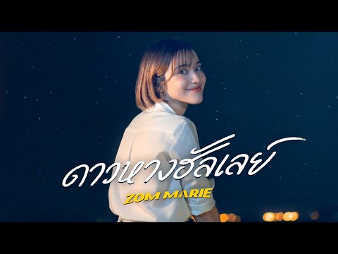 ดาวหางฮัลเลย์ (Halley's Comet) - fellow fellow | ส้ม มารี (Zom Marie) [COVER]