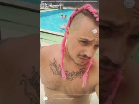 OG EASTBULL SALTA SOPRA LE MACCHINE E QUASI ROMPE UNA MACCHINA!! ASSURDO