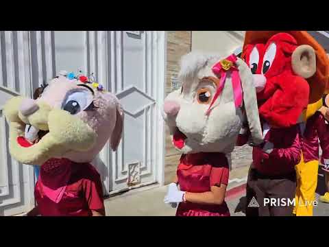 Peluches con amor, en su 25 aniversario.