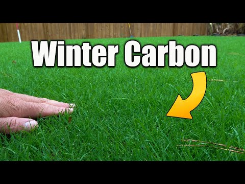 Winter Biochar and Carbon for Lawns