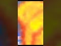 MOLTRES FIRE POKEMON AMV
