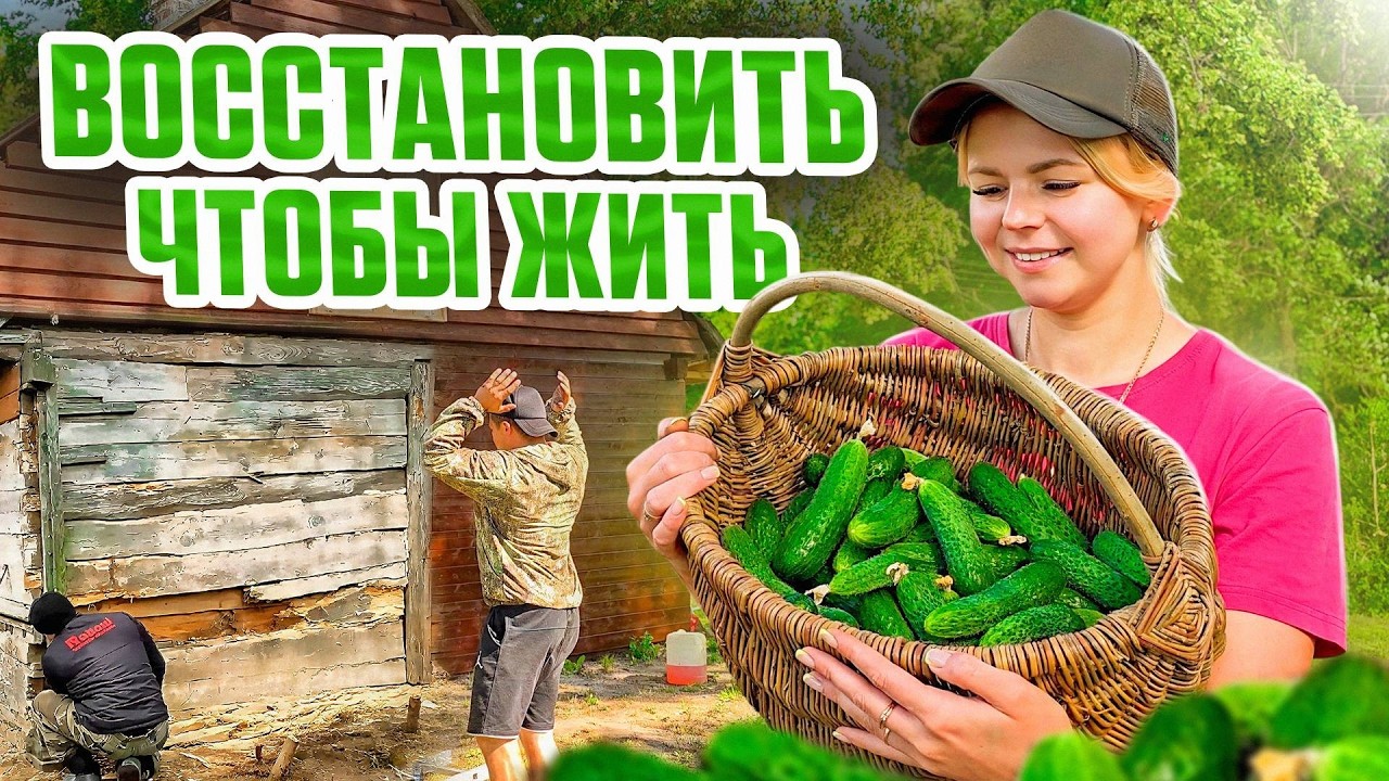 НИКТО НЕ ВЕРИЛ, ЧТО ЭТОТ ДОМ МОЖНО СПАСТИ! ВЫГНАЛИ СОСЕДЕЙ, ПРОЕКТ И ЗАКАТКИ! ?