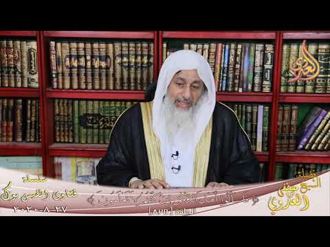 ما العقيده في الحسن والحسين ؟ الشيخ مصطفي العدوي