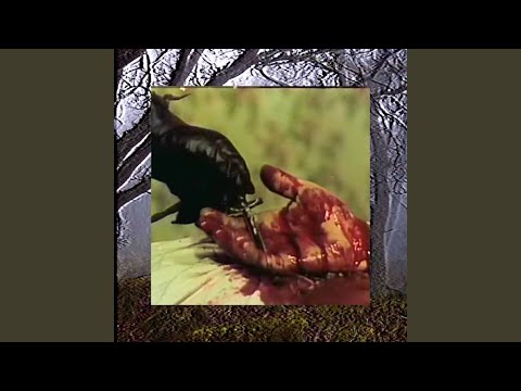 Video thumbnail for Friday the 13th