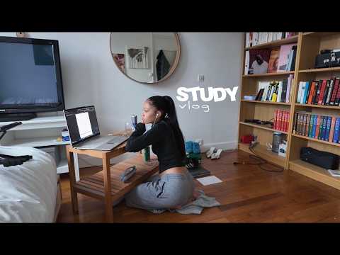 STUDY VLOG